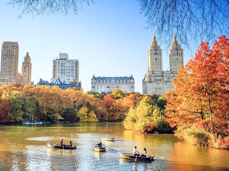 Enjoy the late Fall leaves as you explore Central Park with Historian Kevin Draper!