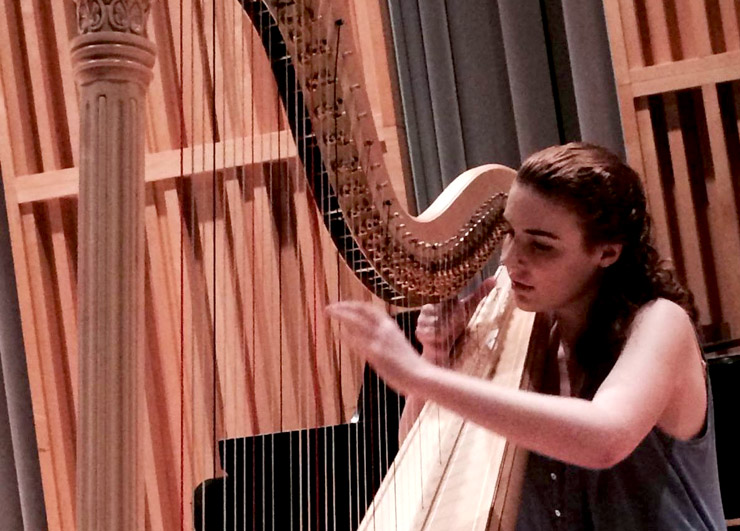 belfast harp festival essay belfast harp festival essay