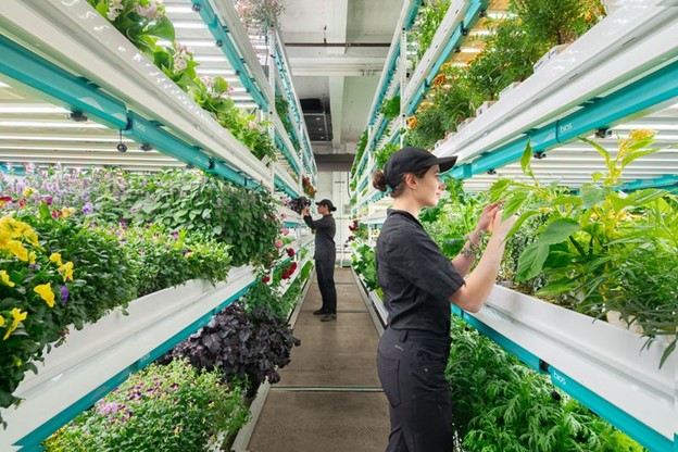 Botanical Tasting Tour at “Farm.One”