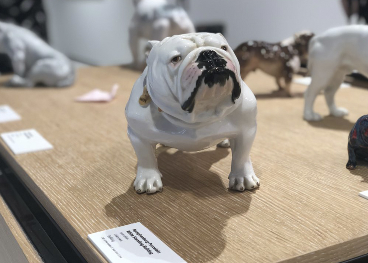 CUCNY Insider Series: Private tour of recently opened Museum of the Dog
