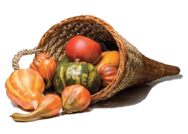 Thanksgiving Day Buffet